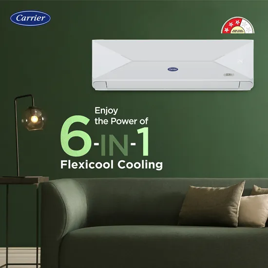 Carrier XPERT EDGE FXi 2 Ton 3 Star Inverter Split AC (CAI24PE3R35F0) with Copper Condenser, PM 2.5 Filter & Auto Clean